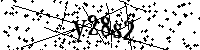 Digita le lettere e numeri qui sotto