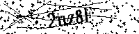 Digita le lettere e numeri qui sotto