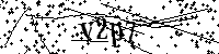 Digita le lettere e numeri qui sotto