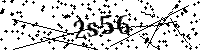 Digita le lettere e numeri qui sotto