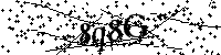 Digita le lettere e numeri qui sotto