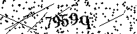 Digita le lettere e numeri qui sotto