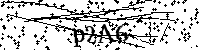 Digita le lettere e numeri qui sotto