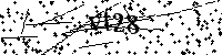 Digita le lettere e numeri qui sotto