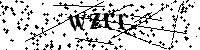 Digita le lettere e numeri qui sotto