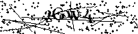 Digita le lettere e numeri qui sotto