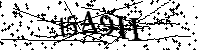 Digita le lettere e numeri qui sotto