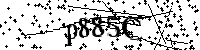 Digita le lettere e numeri qui sotto