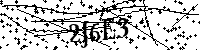 Digita le lettere e numeri qui sotto