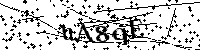 Digita le lettere e numeri qui sotto