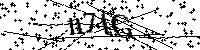 Digita le lettere e numeri qui sotto