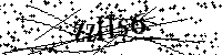 Digita le lettere e numeri qui sotto