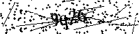 Digita le lettere e numeri qui sotto