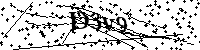 Digita le lettere e numeri qui sotto