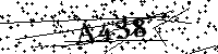 Digita le lettere e numeri qui sotto