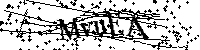 Digita le lettere e numeri qui sotto