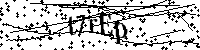 Digita le lettere e numeri qui sotto