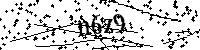 Digita le lettere e numeri qui sotto