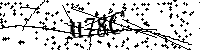 Digita le lettere e numeri qui sotto
