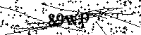 Digita le lettere e numeri qui sotto