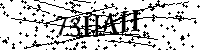 Digita le lettere e numeri qui sotto