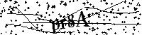 Digita le lettere e numeri qui sotto