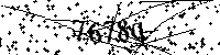 Digita le lettere e numeri qui sotto