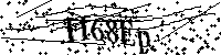Digita le lettere e numeri qui sotto