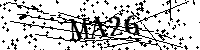 Digita le lettere e numeri qui sotto