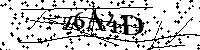 Digita le lettere e numeri qui sotto