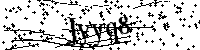 Digita le lettere e numeri qui sotto