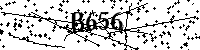 Digita le lettere e numeri qui sotto