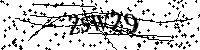 Digita le lettere e numeri qui sotto