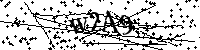 Digita le lettere e numeri qui sotto