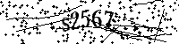 Digita le lettere e numeri qui sotto
