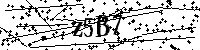 Digita le lettere e numeri qui sotto
