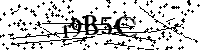 Digita le lettere e numeri qui sotto