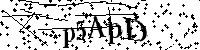Digita le lettere e numeri qui sotto