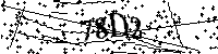 Digita le lettere e numeri qui sotto