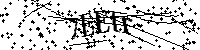 Digita le lettere e numeri qui sotto