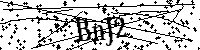 Digita le lettere e numeri qui sotto