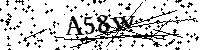 Digita le lettere e numeri qui sotto