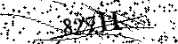 Digita le lettere e numeri qui sotto