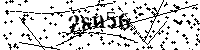 Digita le lettere e numeri qui sotto