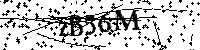 Digita le lettere e numeri qui sotto