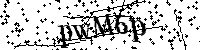 Digita le lettere e numeri qui sotto
