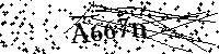 Digita le lettere e numeri qui sotto