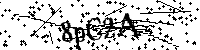 Digita le lettere e numeri qui sotto