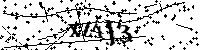 Digita le lettere e numeri qui sotto