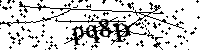 Digita le lettere e numeri qui sotto